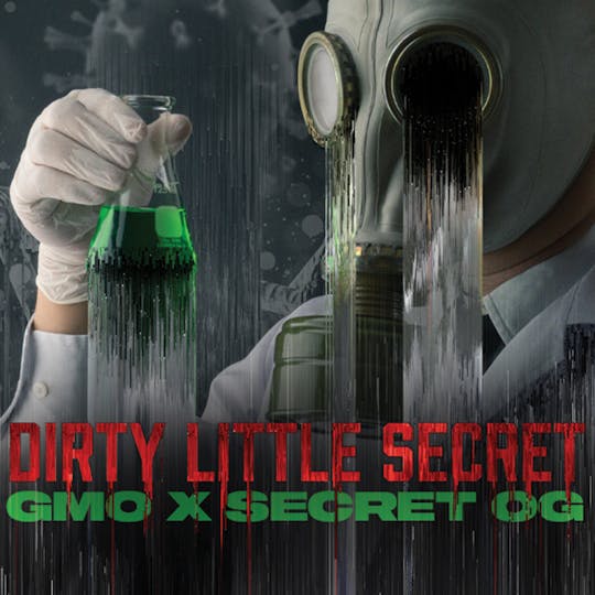 Phat Panda - Dirty Little Secret Bong Buddies - WA - 1