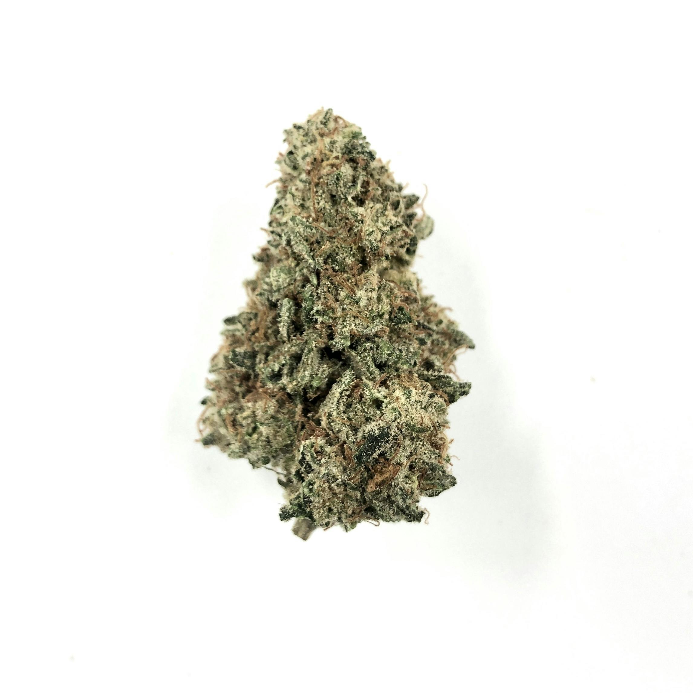 Junction Farm - Chocolope Brunch - 1