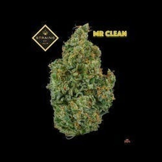 Strains - Mr. Clean 1oz - 1