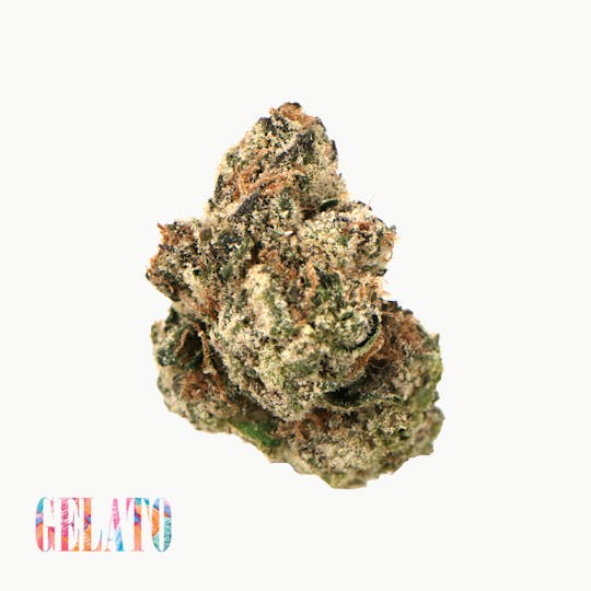 Traditional - Traditional - Gelato 3.5g - 1