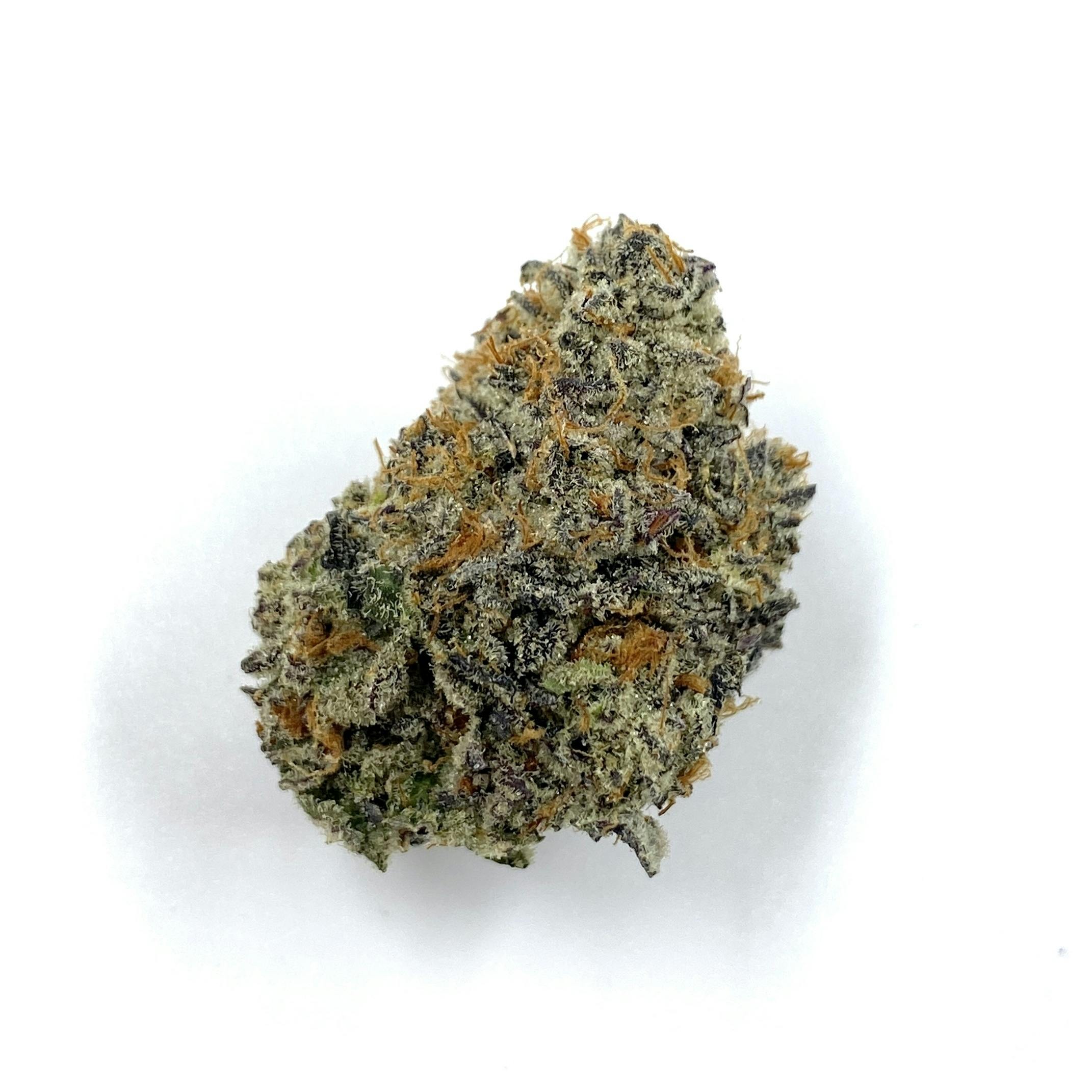Gamebred Genetics - Pure Michigan - 1