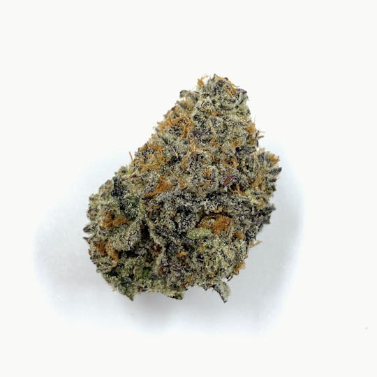 Gamebred Genetics - Pure Michigan - 1