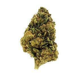 Humboldt Growers Network - 3.5G COOKIE FLOWER - 1