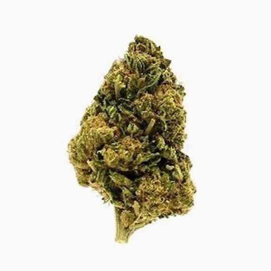 Humboldt Growers Network - 3.5G COOKIE FLOWER - 1