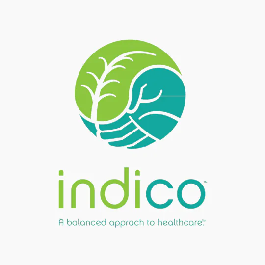 Indico - HIGHCOAST 1g Lemon Skunk Distillate Cart - 1
