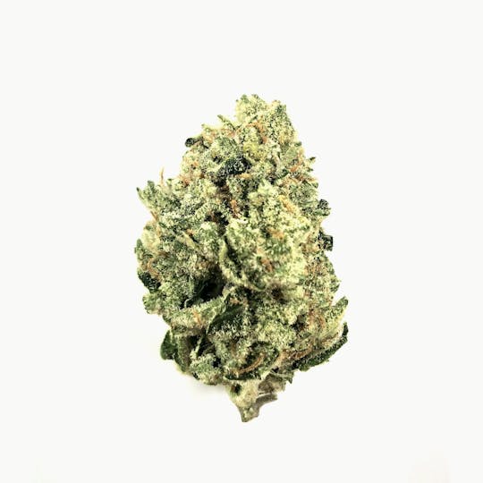 Indico - Strawnana - 1