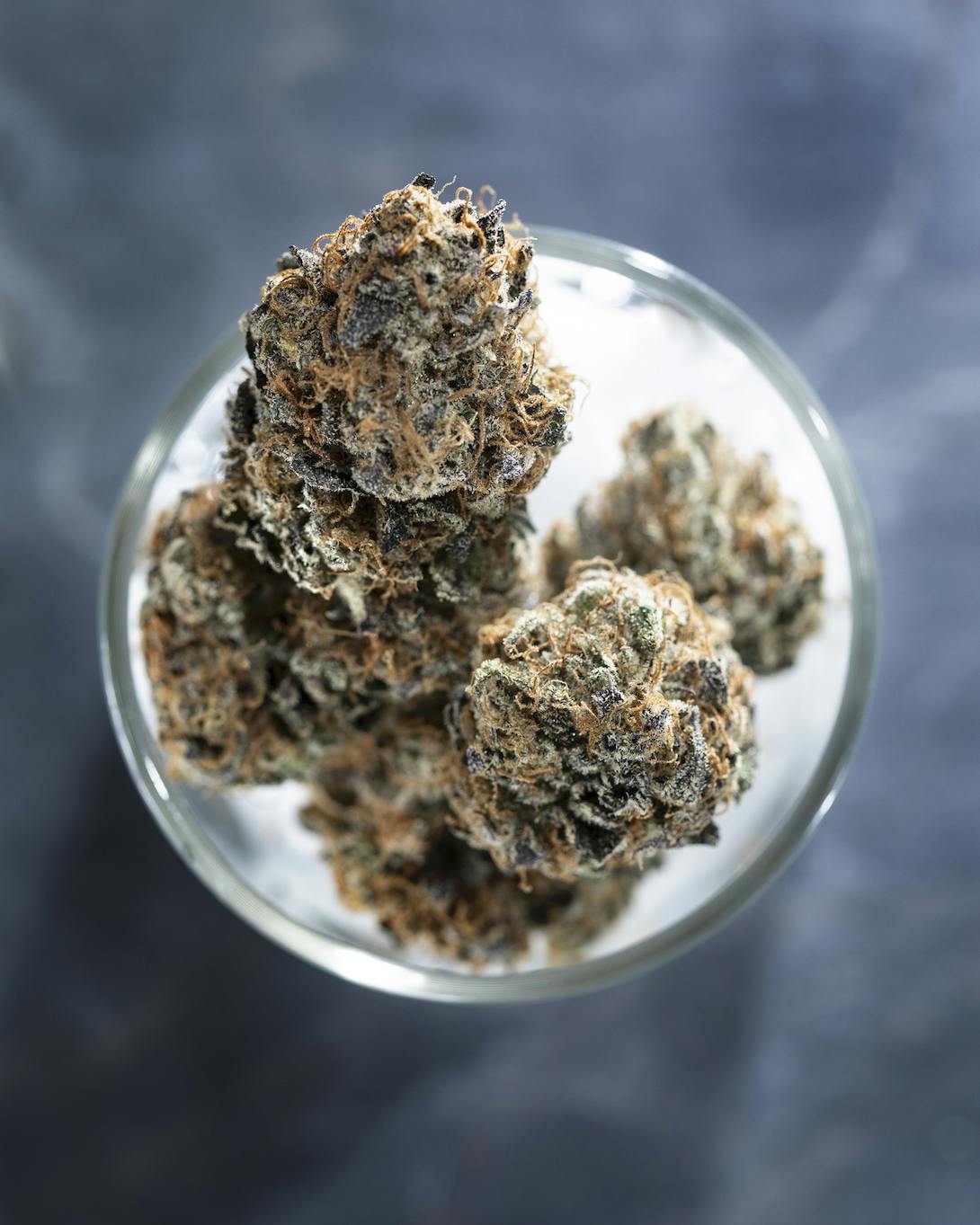 Tops Farm - Concord Cream 1/8 (3.5 grams) - 1