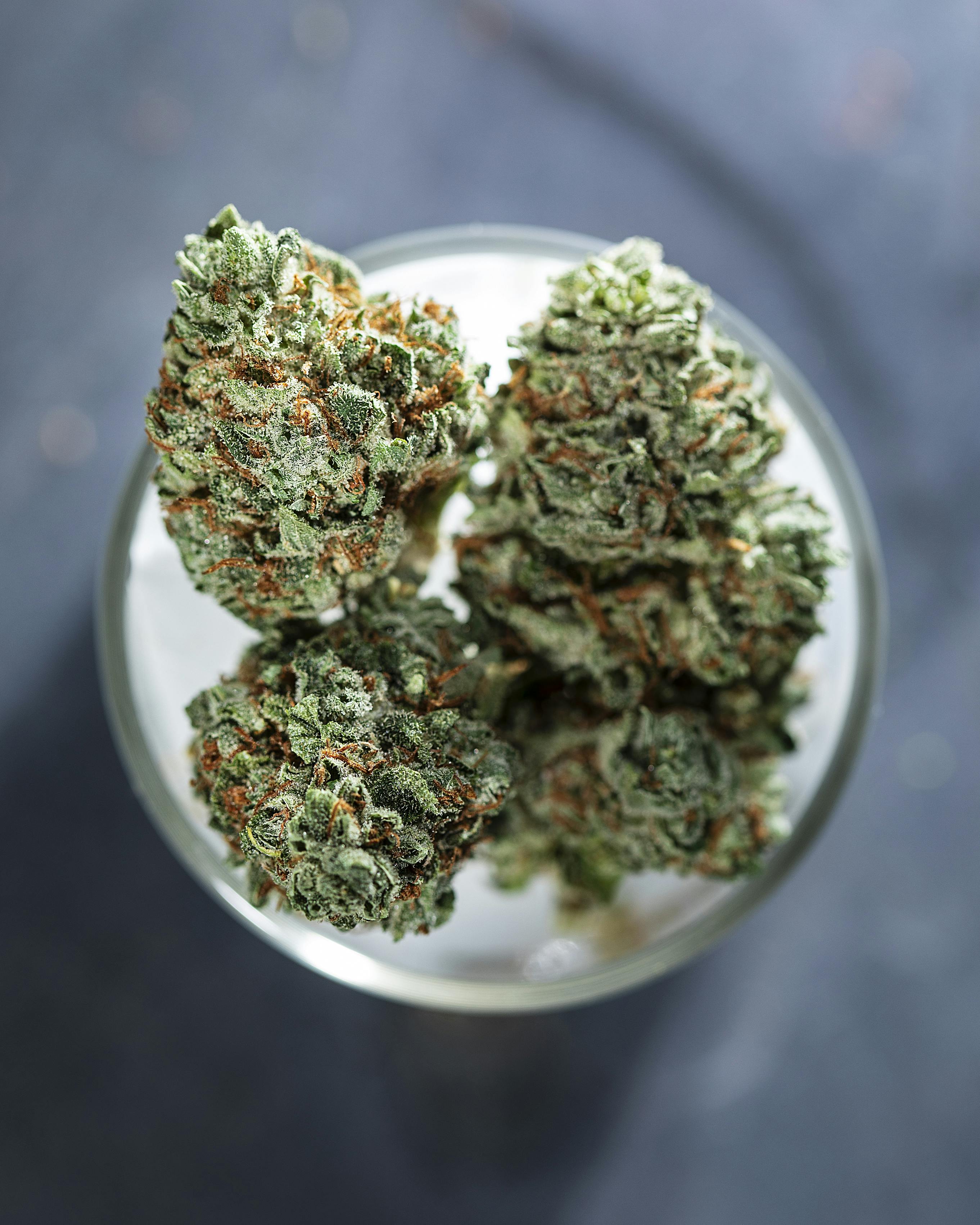 Tops Farm - Sour Dubble 1/8 (3.5 grams) - 1