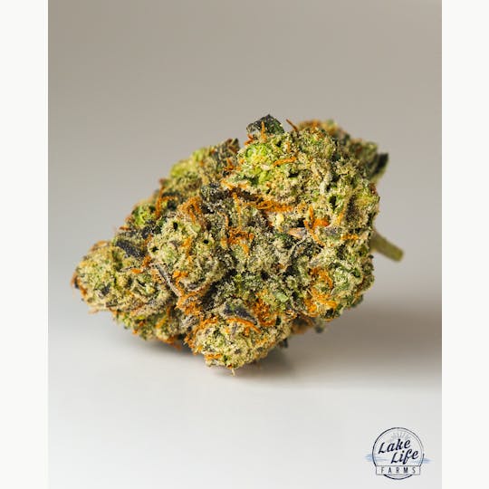 Lake Life Farms - White Truffle - 1