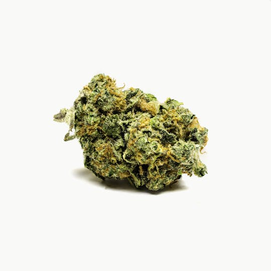 Cultivate Leicester Inc - Cultivate premium - Skywalker - 1
