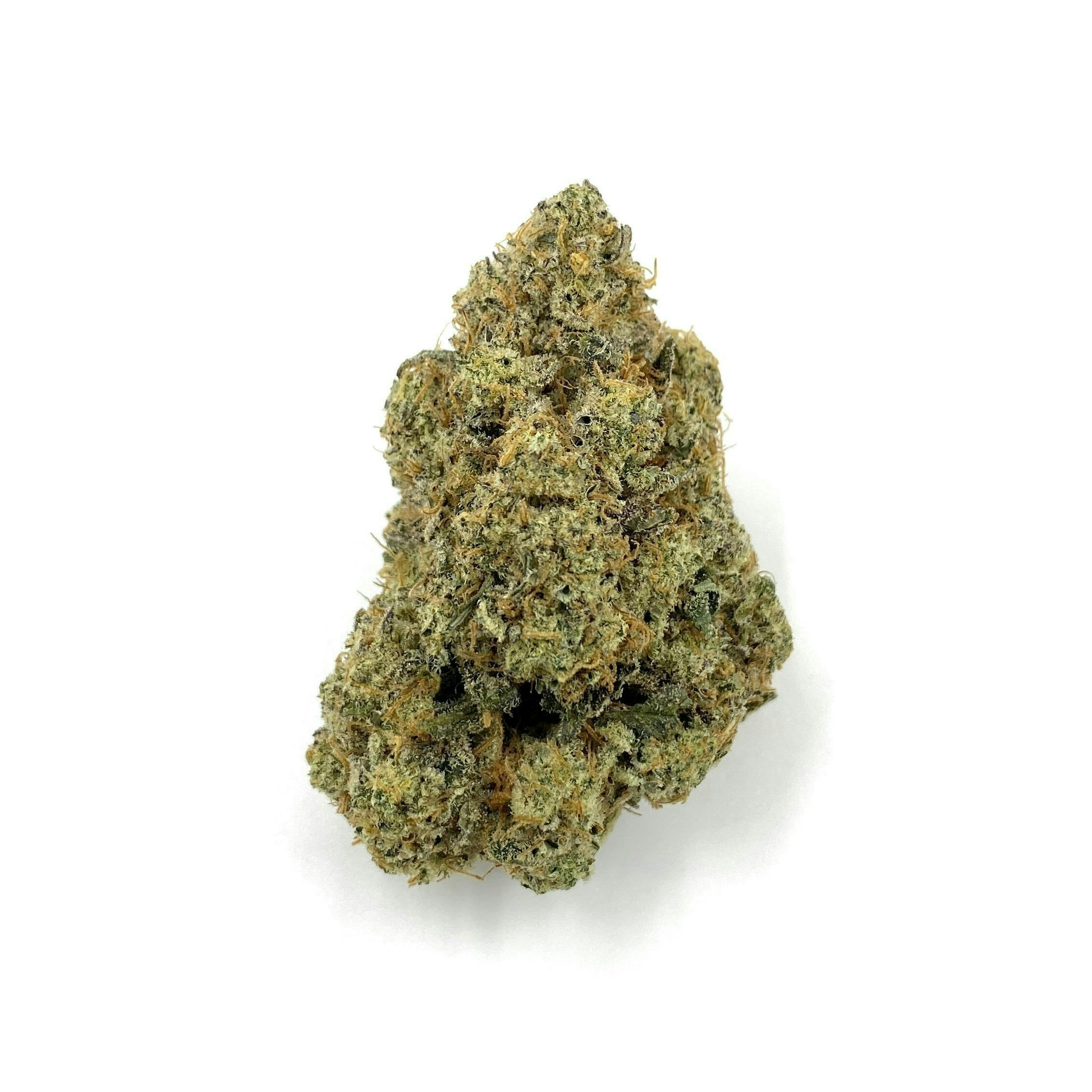 Indico - Creme Fraiche - 1