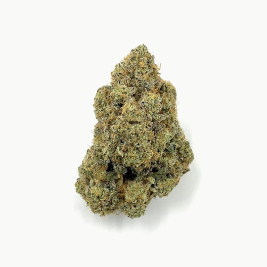 Indico - Creme Fraiche - 1
