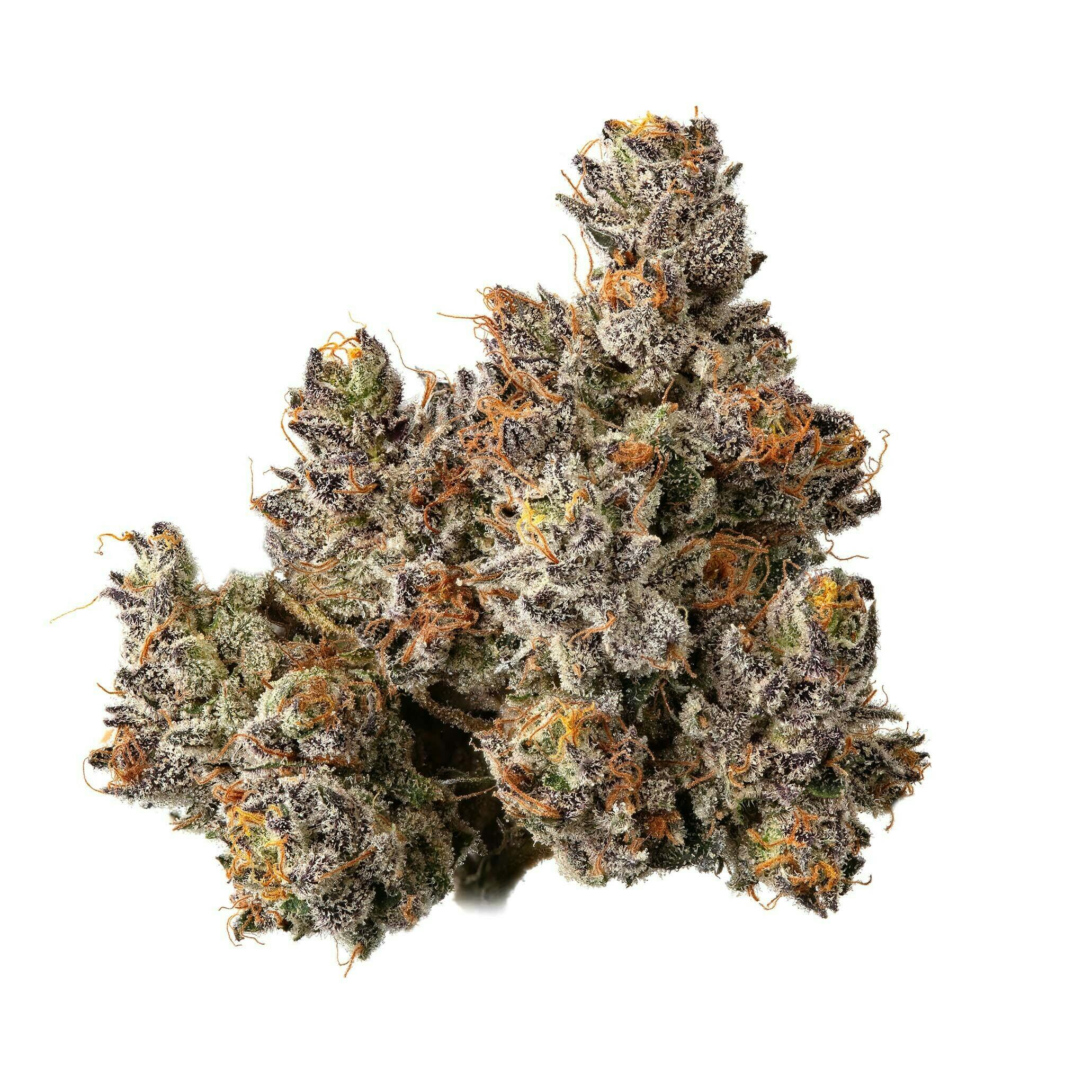 Unicorn Tears - Fudge Ripple - 1