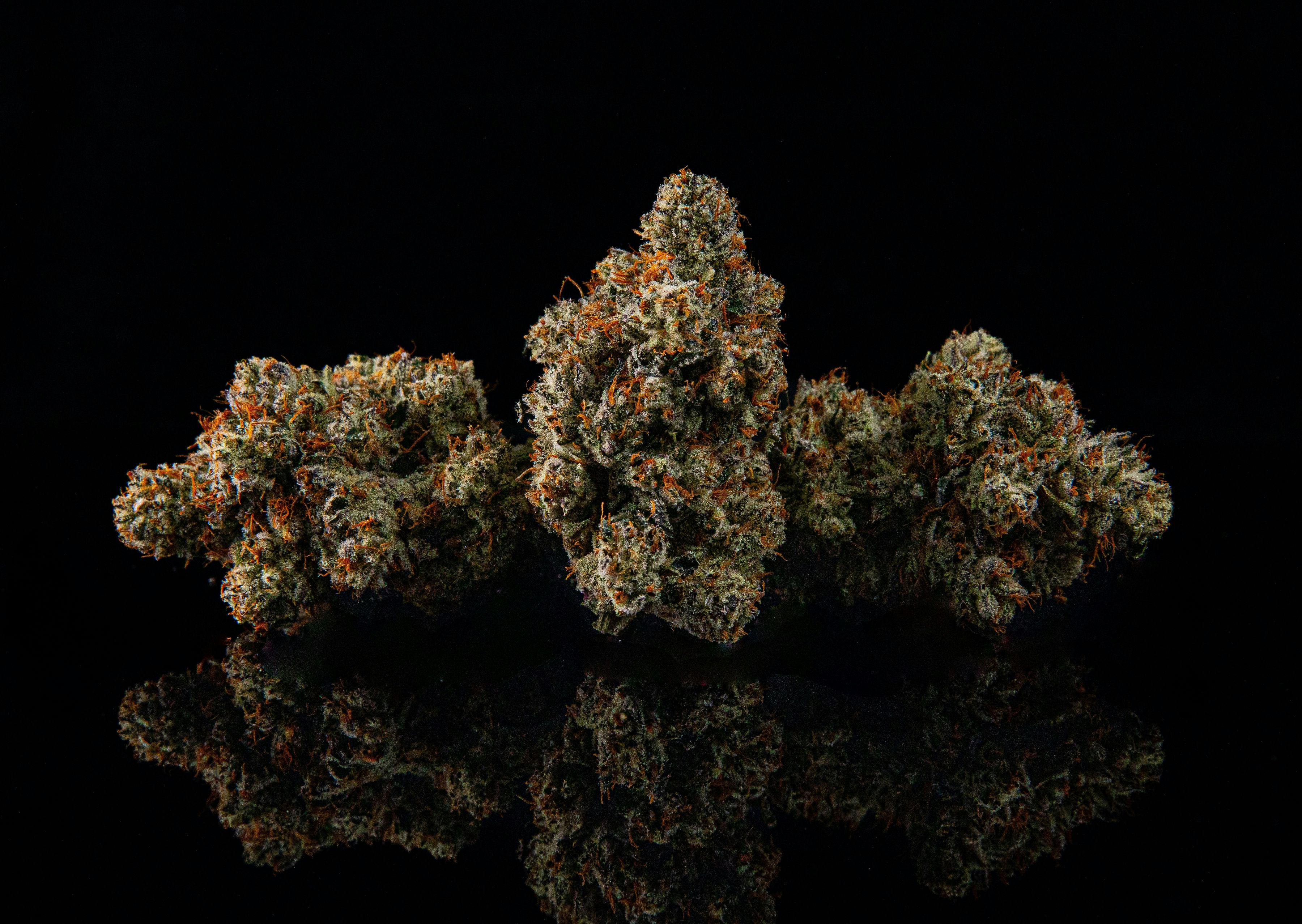 Zenoa - Donkey Butter #9 - 1