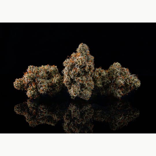 Zenoa - Donkey Butter #9 - 1