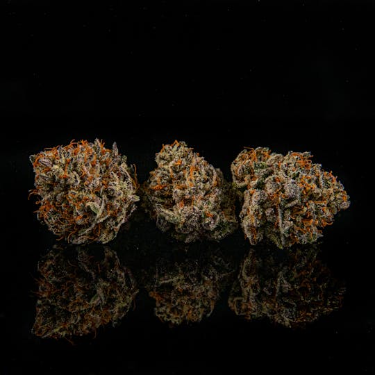 Zenoa - Cherry Cream Pie - 1