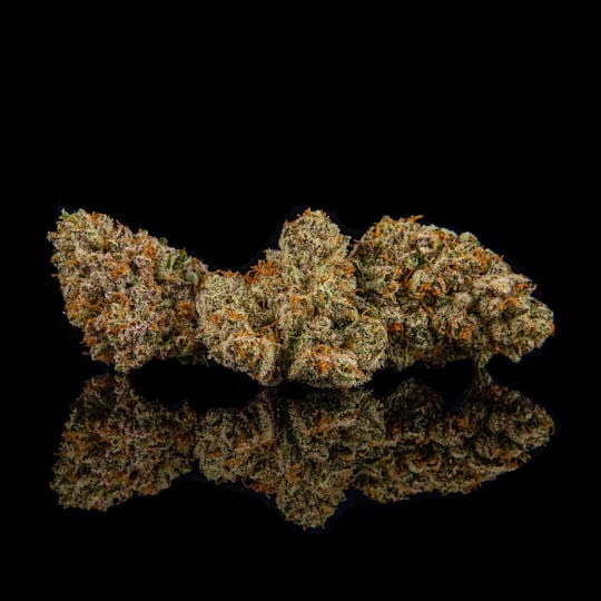 Zenoa - Ice Cream Cake - 1