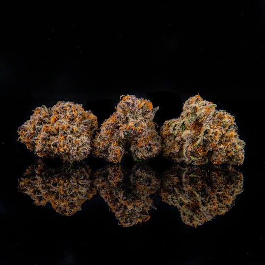 Zenoa - Star Cookie (RETIRED) - 1