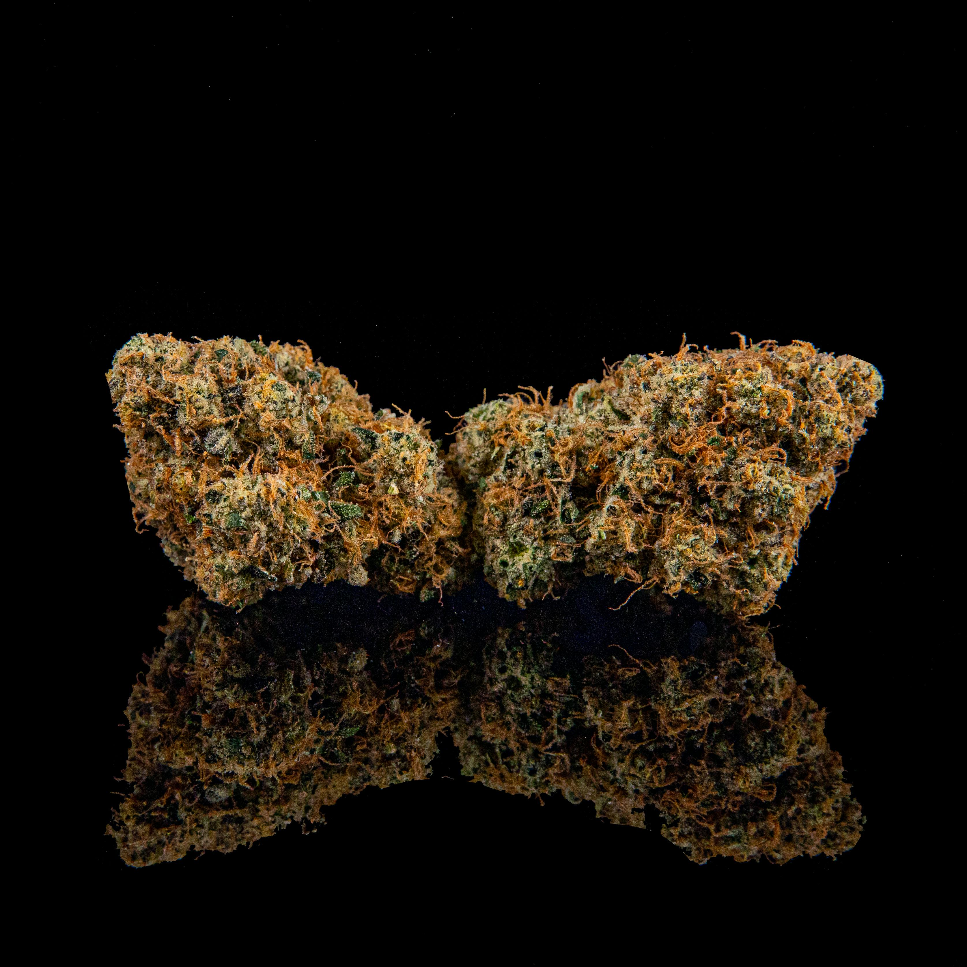 Zenoa - Gelato Cake (RETIRED) - 1