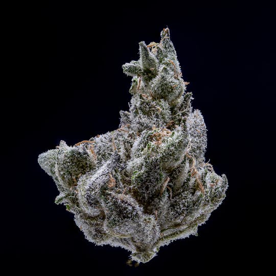 JAR Cannabis Co. - Han Solo Burger by JAR Cannabis Co. - 1