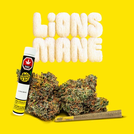 Cookies Canada - Lions Mane 1g Preroll - 1