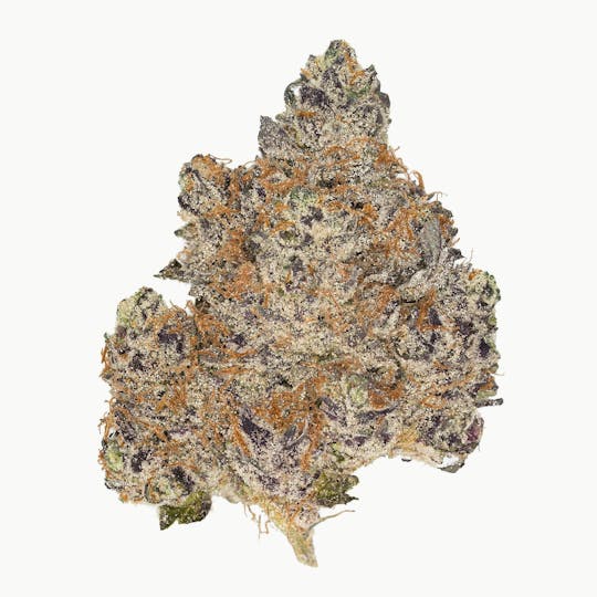 West Coast Cure - Passion Orange Guava - 3.5g Top Shelf Indoor Flower - 1