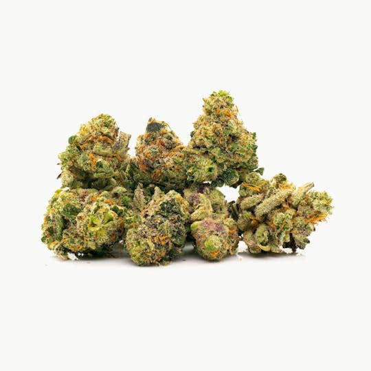 SAVAGE - Apple Sherbet Indoor Flower - 1