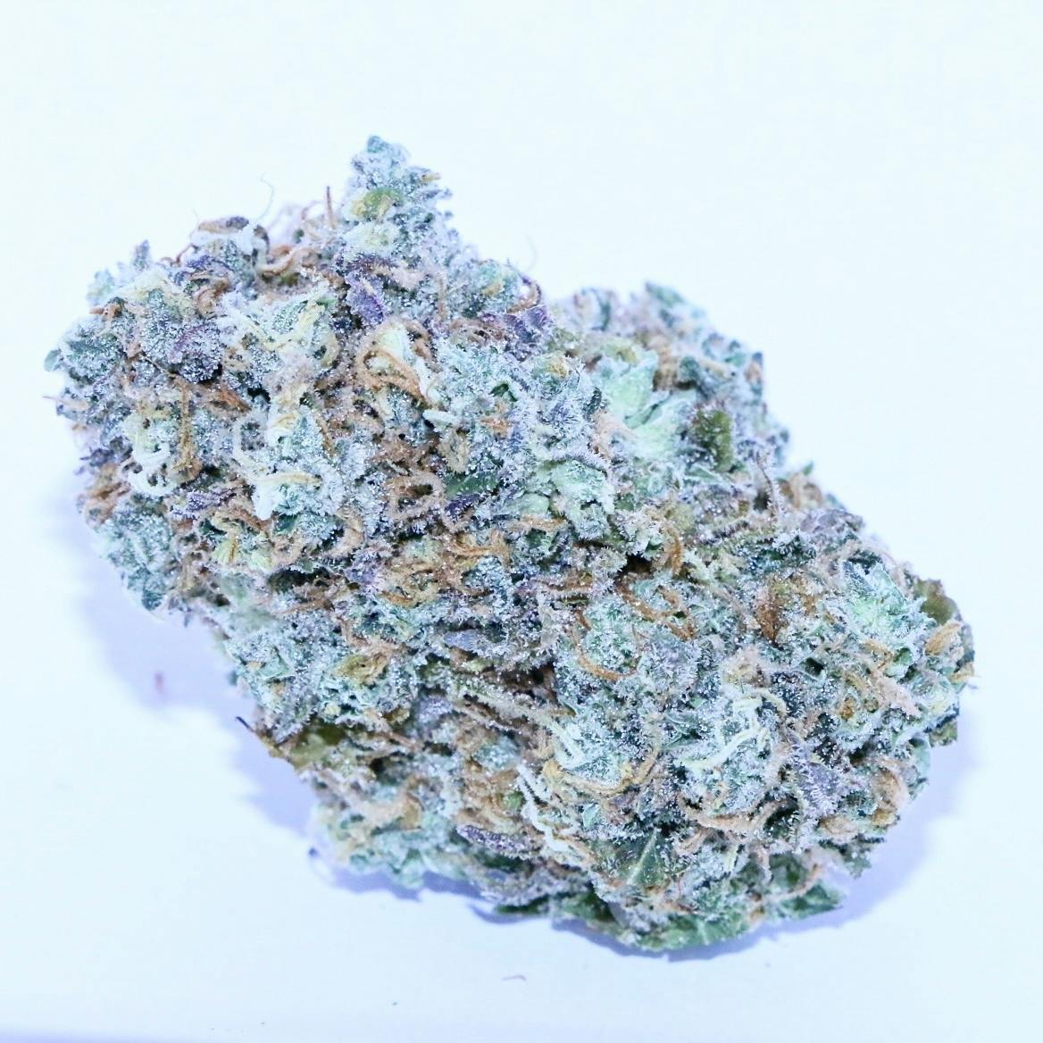Above All Greenery - Brand - Early Glue - 1