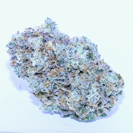 Above All Greenery - Brand - Early Glue - 1