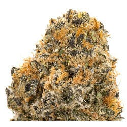 Back Forty - Animal Mints 3.5g - 1