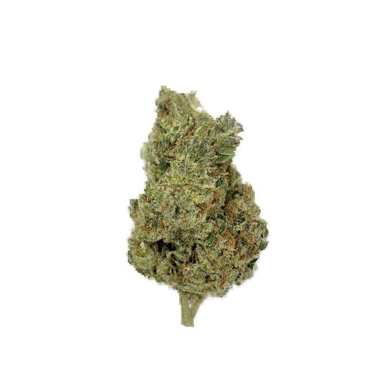 Garys Market - Jungle Cake - 1