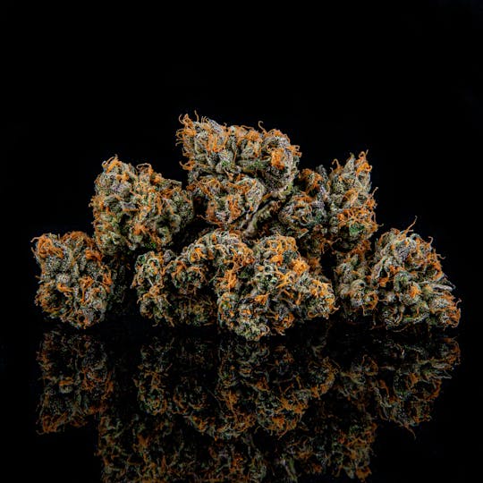 Zenoa - Heaven Scent - 1