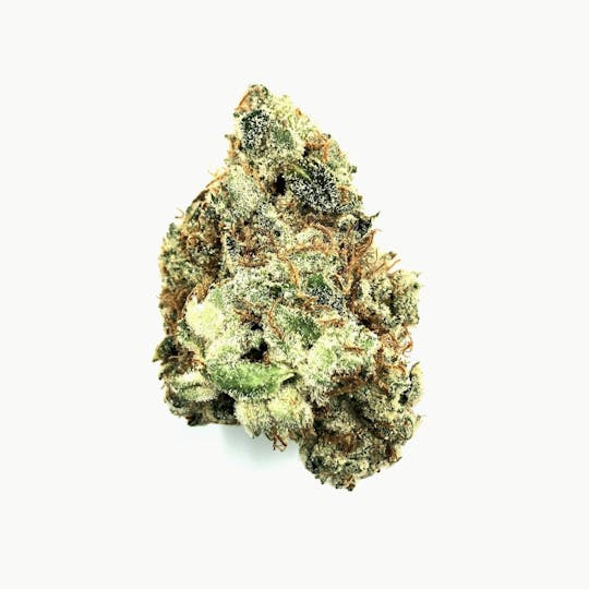 Indico - Jim Kelly #12 - 1