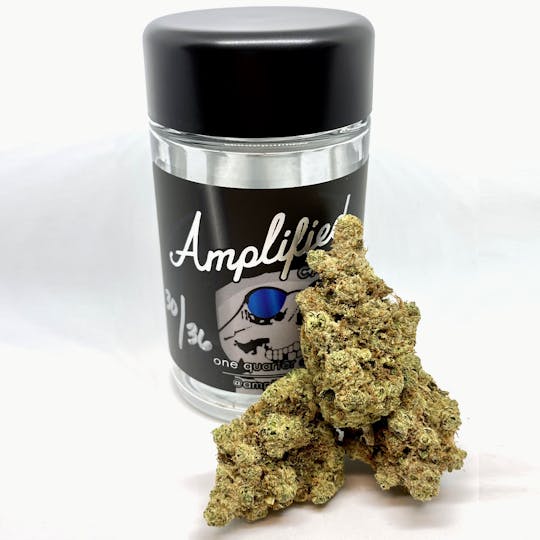 Amplified Farms - Super Sour Diesel - Grower's Choice 7g - 1