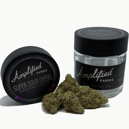 Amplified Farms - Super Sour Diesel - Eighth 3.5g - 1