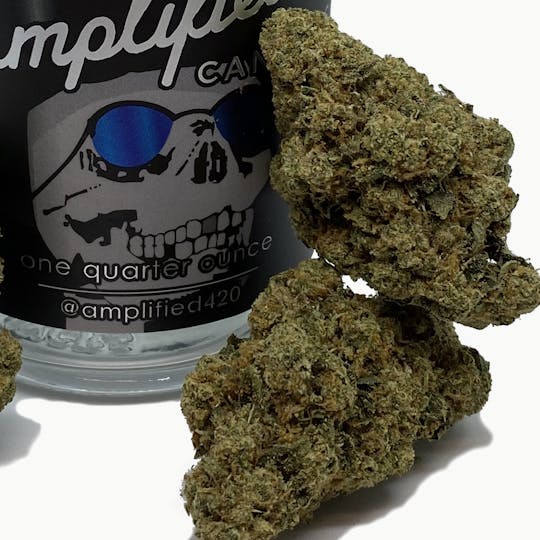 Amplified Farms - Cypress OG - Grower's Choice 7g - 1