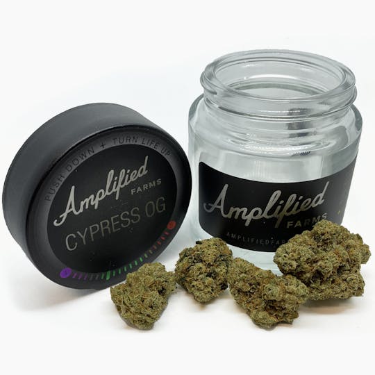 Amplified Farms - Cypress OG - Eighth 3.5g - 1