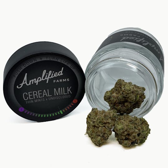 Amplified Farms - Cereal Milk - Eighth 3.5g - 1