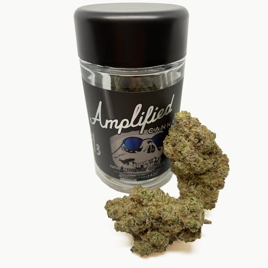 Amplified Farms - Cereal Milk - Grower's Choice 7g - 1