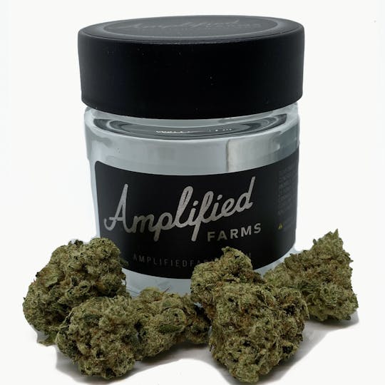 Amplified Farms - Bubba Gas Mints - Eighth 3.5g - 1