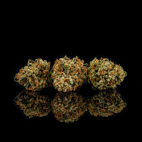 Zenoa - Motorbreath #15 - 1