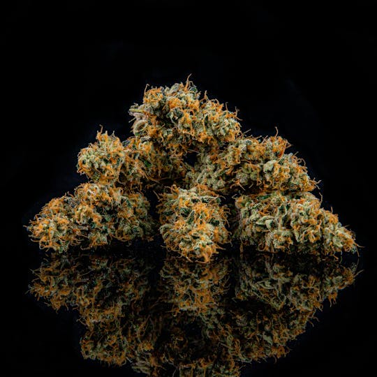 Zenoa - Sundae Strudel - 1