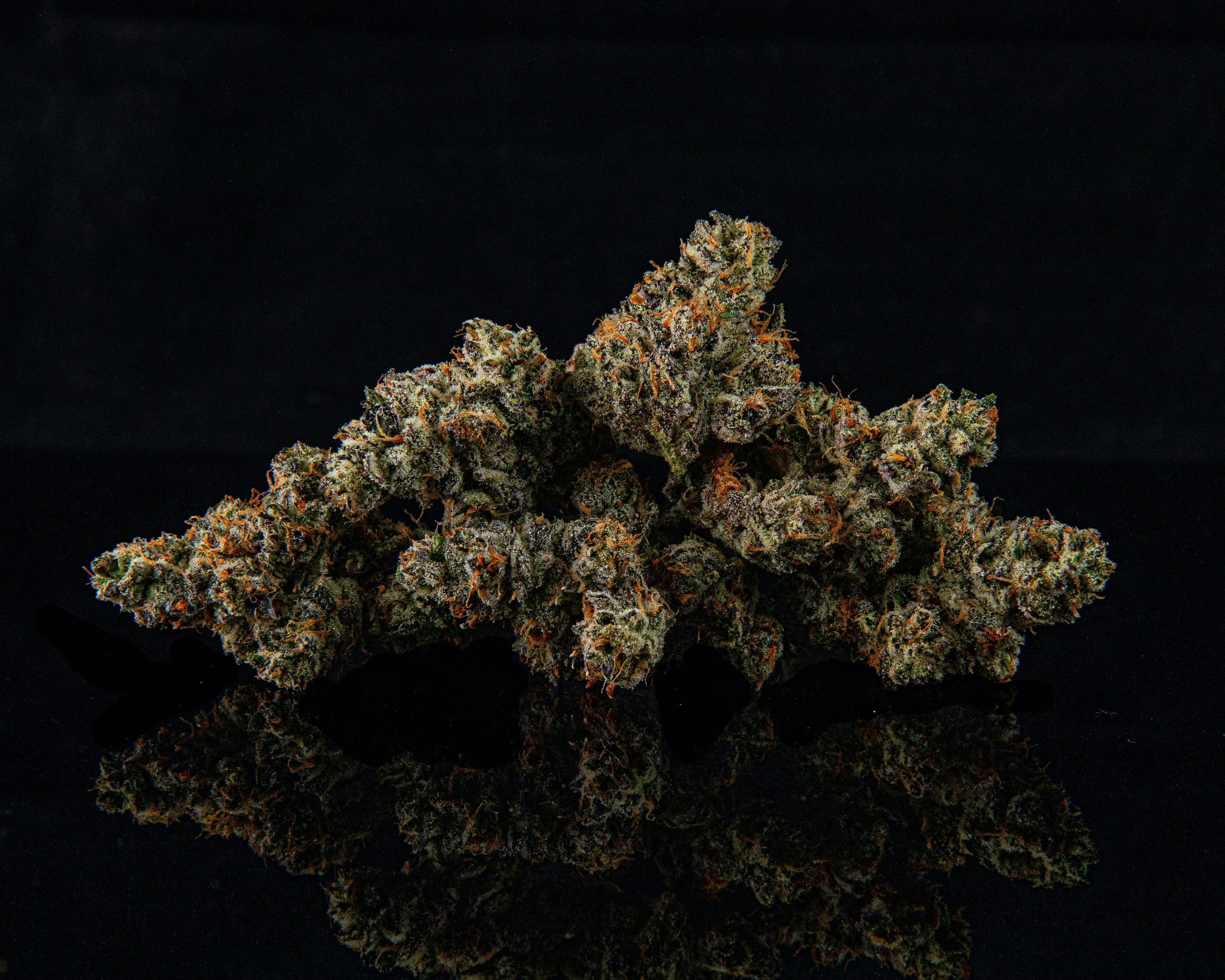 Zenoa - Gorilla Butter (White Truffle) - 1