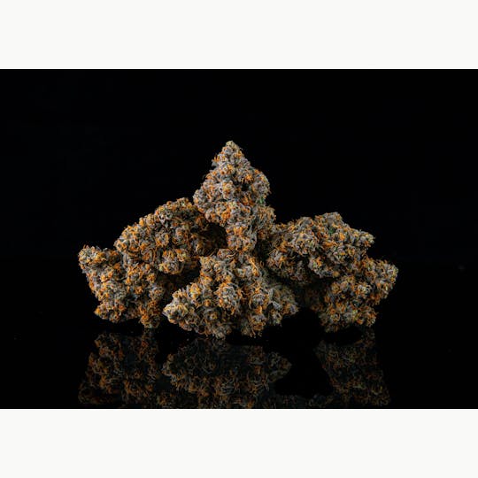 Zenoa - Gary Payton - 1