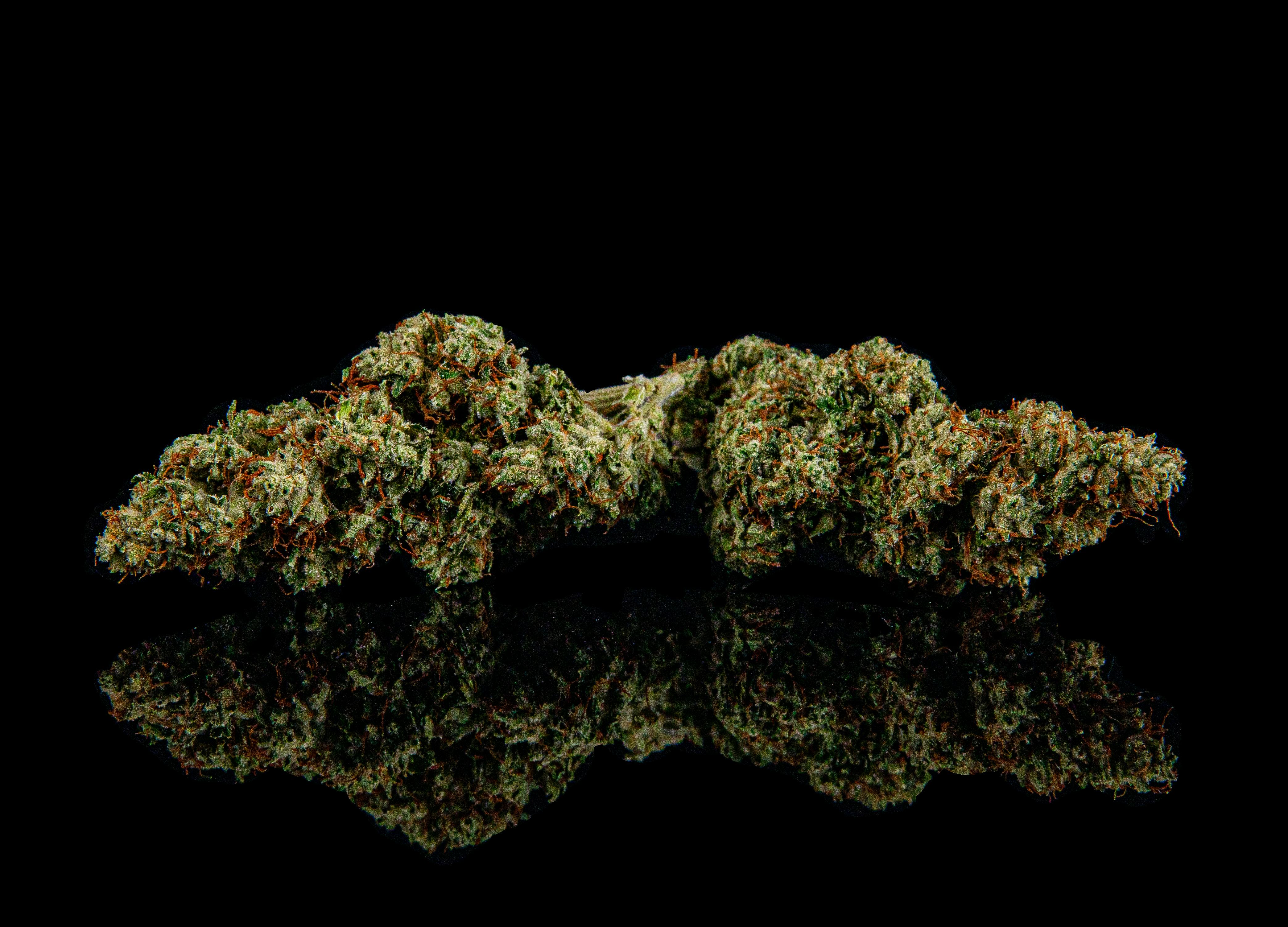 Zenoa - Death Toast #48 (RETIRED) - 1