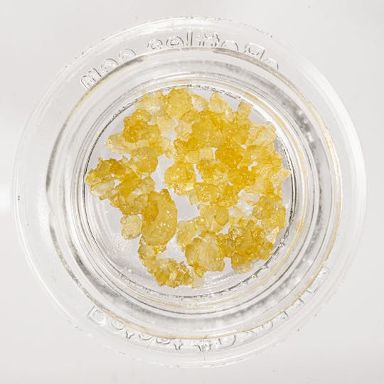 Monster Xtracts - Pineapple Glue Caviar 1G (Live) - 1