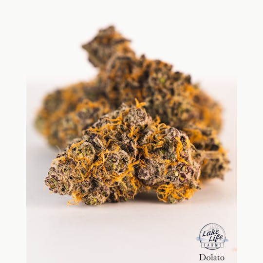 Lake Life Farms - Kush Mints 5pk Pre-Rolls (4.5g) - 1