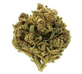 Humboldt Growers Network - 3.5G BAND FLOWER - 1