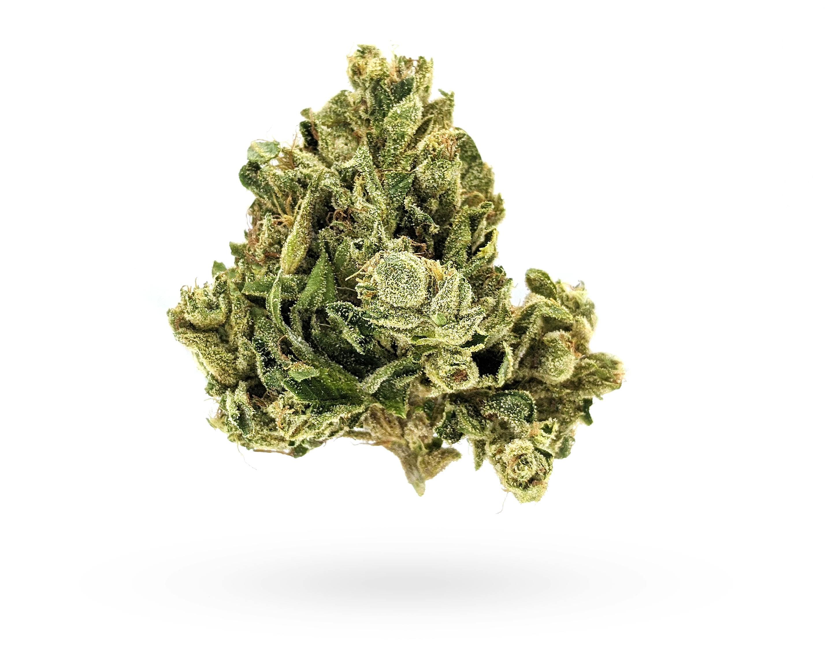 Humboldt Growers Network - 3.5G OG KUSH FLOWER - 1