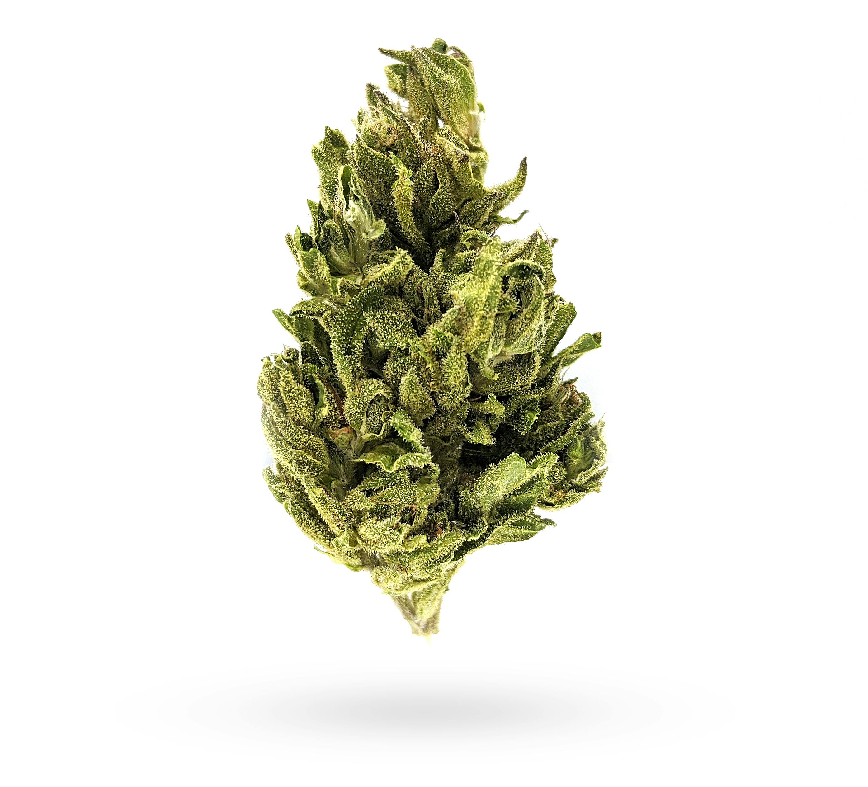 Humboldt Growers Network - 3.5G SUICIDE FLOWER - 1